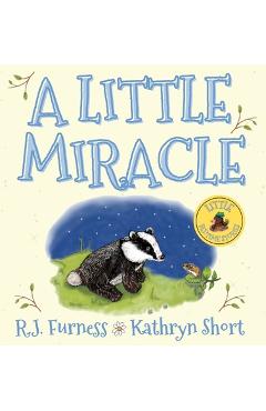 Coperta cărții 'A Little Miracle - R. J. Furness'