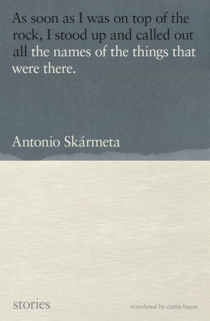 The Names of the Things That Were There: Stories - Antonio Skármeta