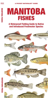 Manitoba Fishes: A Waterproof Folding Guide to Native and Introduced Freshwater Species - Matthew Morris