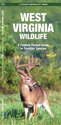 West Virginia Wildlife: An Introduction to Familiar Species - James Kavanagh