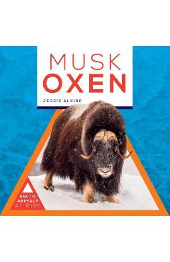 Coperta cărții 'Musk Oxen - Jessie Alkire'