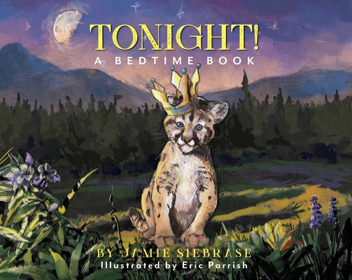 Tonight!: A Bedtime Book - Jamie Siebrase
