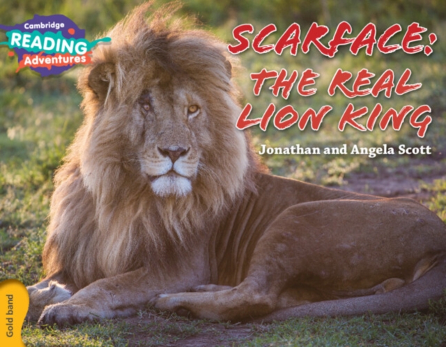 Cambridge Reading Adventures Scarface: The Real Lion King Gold Band - Jonathan And Angela Scott