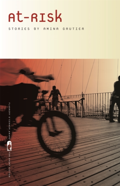 At-Risk: Stories - Amina Gautier