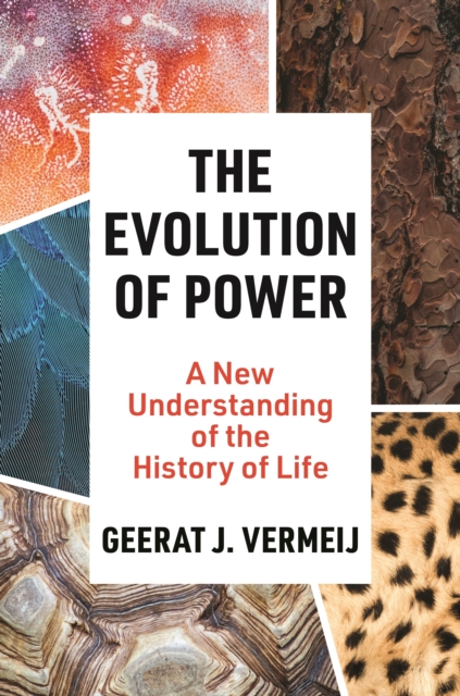 The Evolution of Power: A New Understanding of the History of Life - Geerat Vermeij