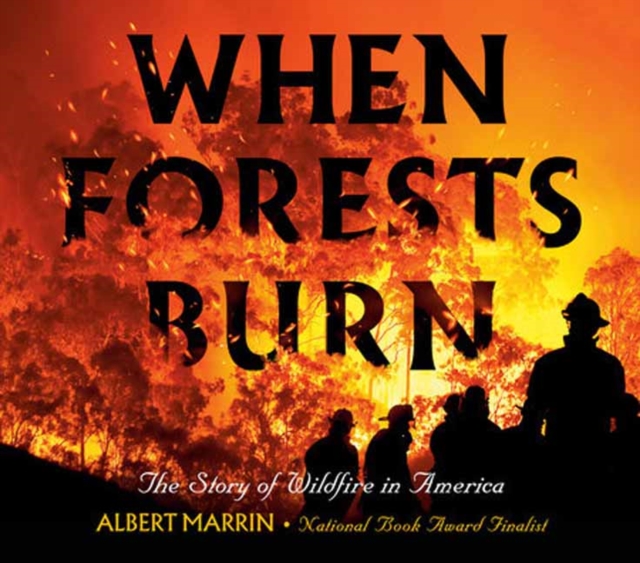 When Forests Burn: The Story of Wildfire in America - Albert Marrin