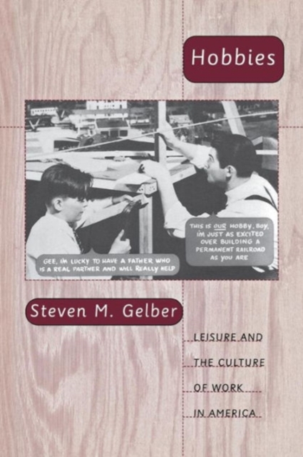 Hobbies: Leisure and the Culture of Work in America - Steven Gelber