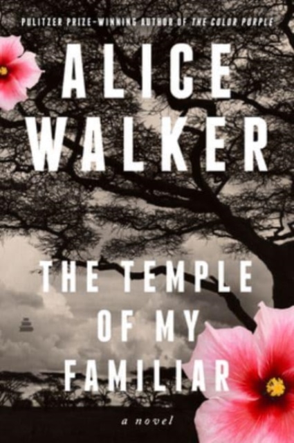 The Temple of My Familiar - Alice Walker