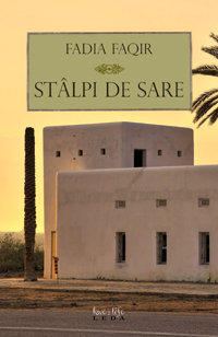 Coperta cărții 'Stalpi de sare - Fadia Faqir'
