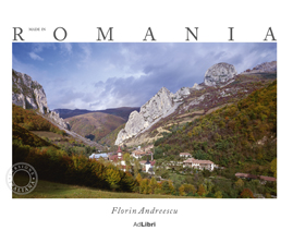 Made in Romania - Lb. Engleza - Florin Andreescu