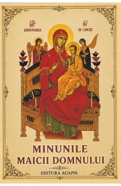 Minunile Maicii Domnului - Nicodim Mandita