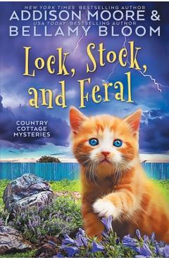 Coperta cărții 'Lock, Stock, and Feral - Bellamy Bloom'