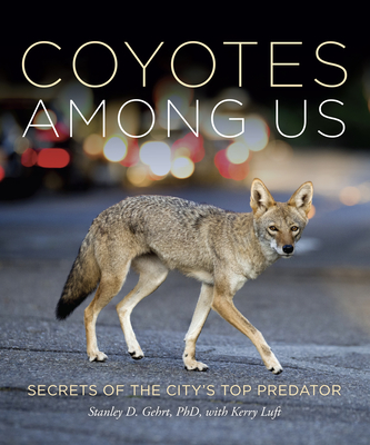 Coyotes Among Us: Secrets of the City's Top Predator - Stanley D. Gehrt