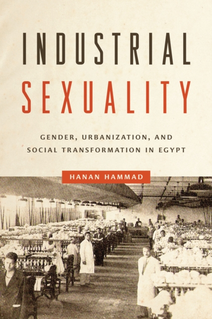 Industrial Sexuality: Gender, Urbanization, and Social Transformation in Egypt - Hanan Hammad