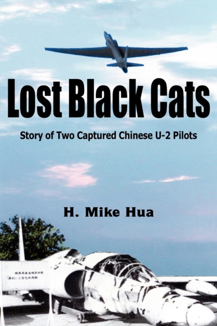 Lost Black Cats - H. Mike Hua