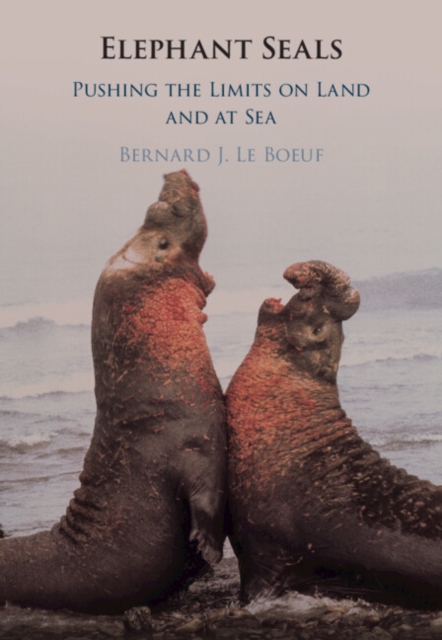 Elephant Seals: Pushing the Limits on Land and at Sea - Bernard J. Le Boeuf