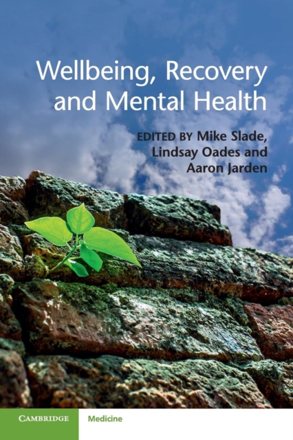 Wellbeing, Recovery and Mental Health - Mike Slade