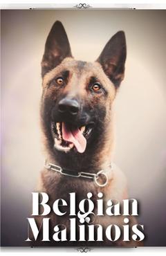 Poza produsului Belgian Malinois: Dog breed overview and guide - Nina Pustova