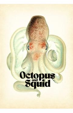 Coperta cărții 'Octopus & Squid: Drawing and Tattoo Reference - Kent Smith'