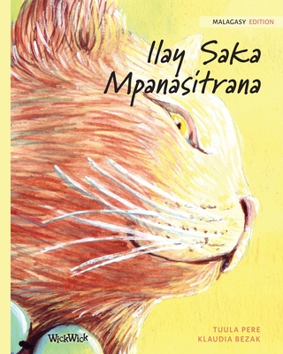 Ilay Saka Mpanasitrana: Malagasy Edition of The Healer Cat - Tuula Pere