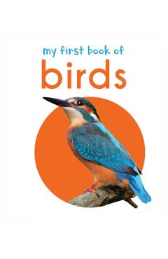 Coperta cărții 'My First Book of Birds - Wonder House Books'