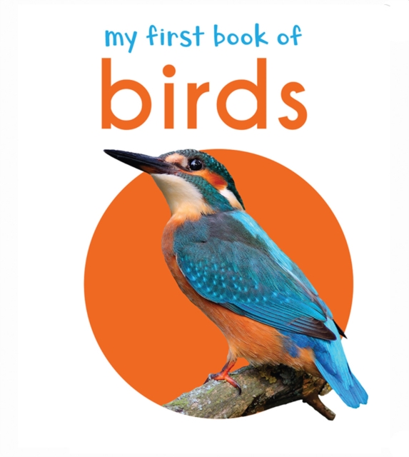 My First Book of Birds - Wonder House Books