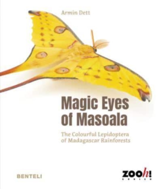 Magic Eyes of Masoala: The Colourful Lepidoptera of Madagascar Rainforests - Armin Dett
