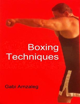 Boxing Techniques - Gabi Amzaleg