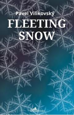 Fleeting Snow - Pavel Vilikovský