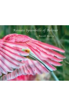 Roseate Spoonbills of Bolivar - Russell D. Autrey