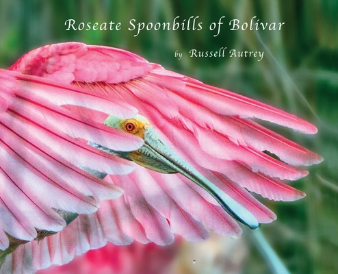 Roseate Spoonbills of Bolivar - Russell D. Autrey