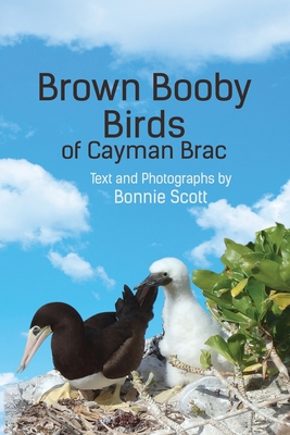 Brown Booby Birds of Cayman Brac - Bonnie Scott