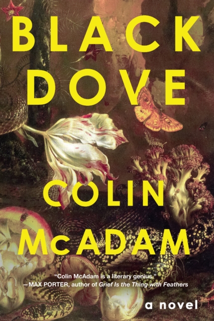 Black Dove - Colin Mcadam