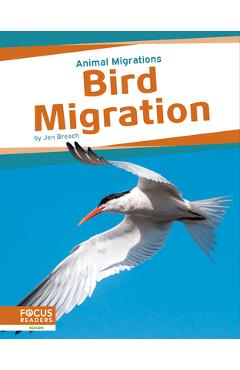 Coperta cărții 'Bird Migration - Jen Breach'