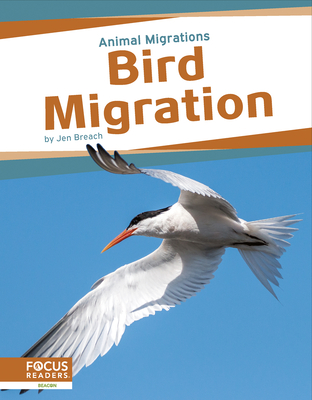 Coperta cărții 'Bird Migration - Jen Breach'