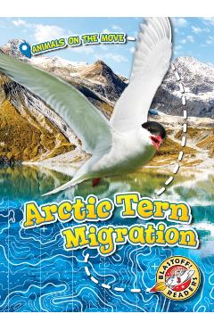 Poza produsului Arctic Tern Migration - Kari Schuetz