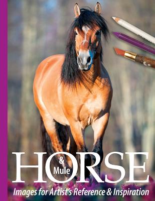 Horse and Mule Images for Artist's Reference and Inspiration - Sarah Tregay