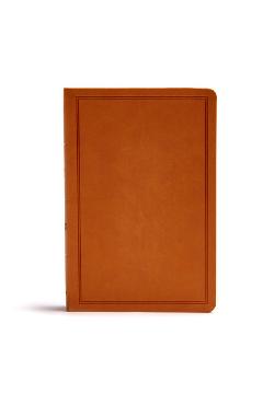 Coperta cărții 'CSB Deluxe Gift Bible, Tan Leathertouch - Csb Bibles By Holman'