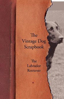 Coperta cărții 'The Vintage Dog Scrapbook - The Labrador Retriever - Various'