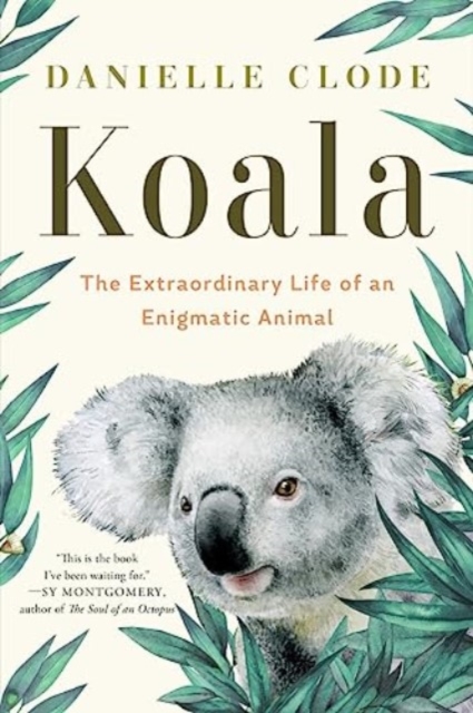 Koala: The Extraordinary Life of an Enigmatic Animal - Danielle Clode