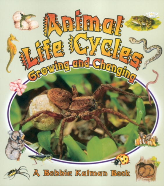 Animal Life Cycles: Growing and Changing - Bobbie Kalman