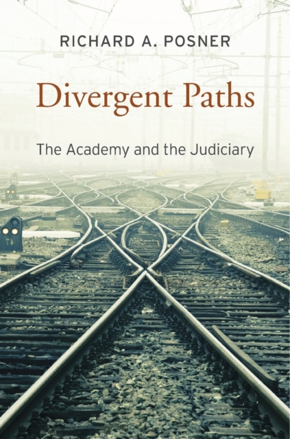 Divergent Paths - Posner