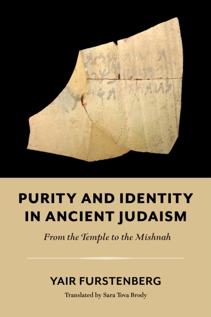 Purity and Identity in Ancient Judaism: From the Temple to the Mishnah - Yair Furstenberg