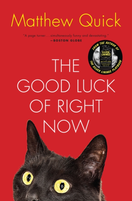 The Good Luck of Right Now - Matthew Quick