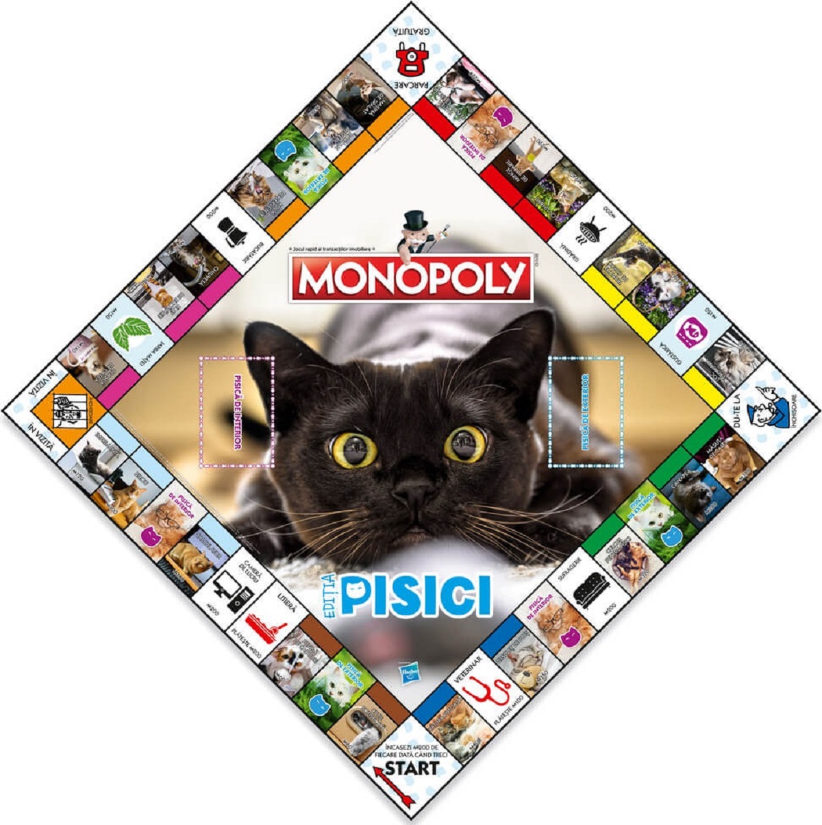 Joc: Monopoly. Pisici