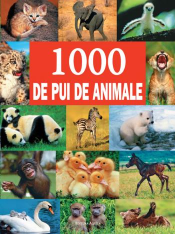 Coperta cărții '1000 de pui de animale'