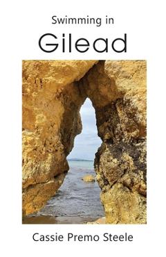 Coperta cărții 'Swimming in Gilead - Cassie Premo Steele'