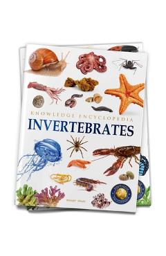 Coperta cărții 'Animals: Invertebrates - Wonder House Books'