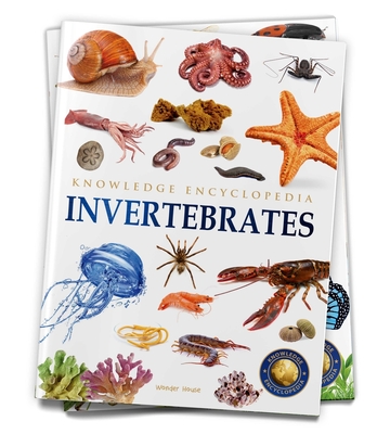 Animals: Invertebrates - Wonder House Books