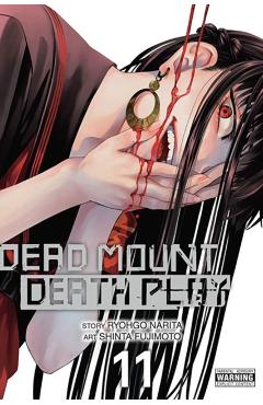 Dead Mount Death Play, Vol. 11 - Ryohgo Narita